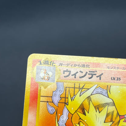 Arcanine No. 059 Intro Pack Squirtle Japanese Pokémon Card