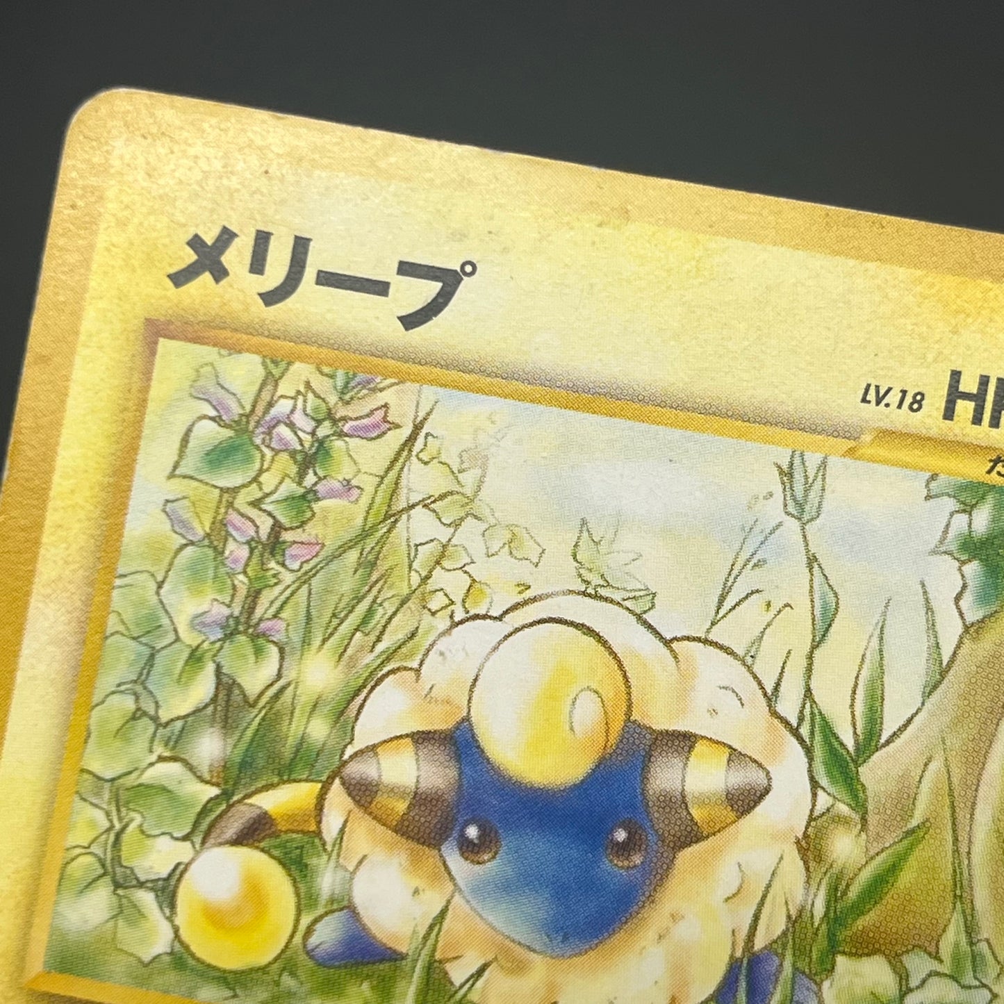Mareep No. 179 Intro Pack Totodile Deck Pokémon Card