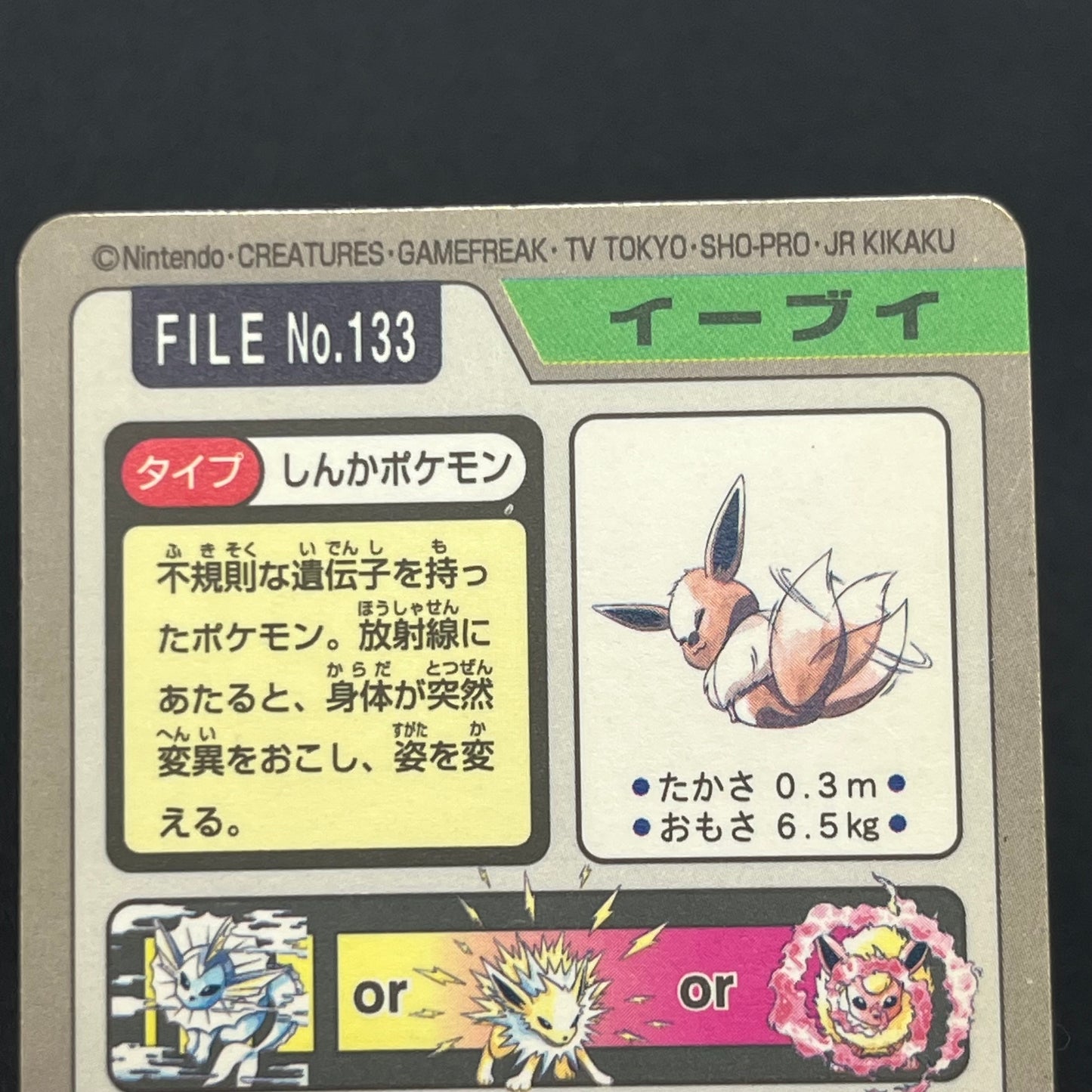 Eevee No.133 Carddass Holo & Vaporeon Jolteon Flareon Card (END)