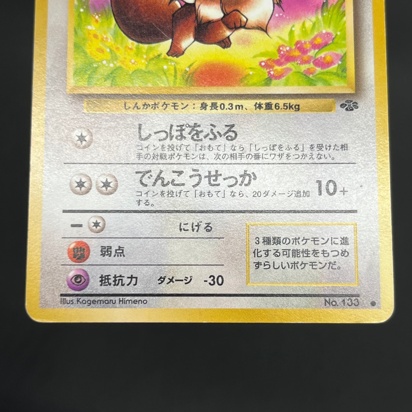 Jolteon Vaporeon Flareon Jungle Holo Old Back Pokémon Card