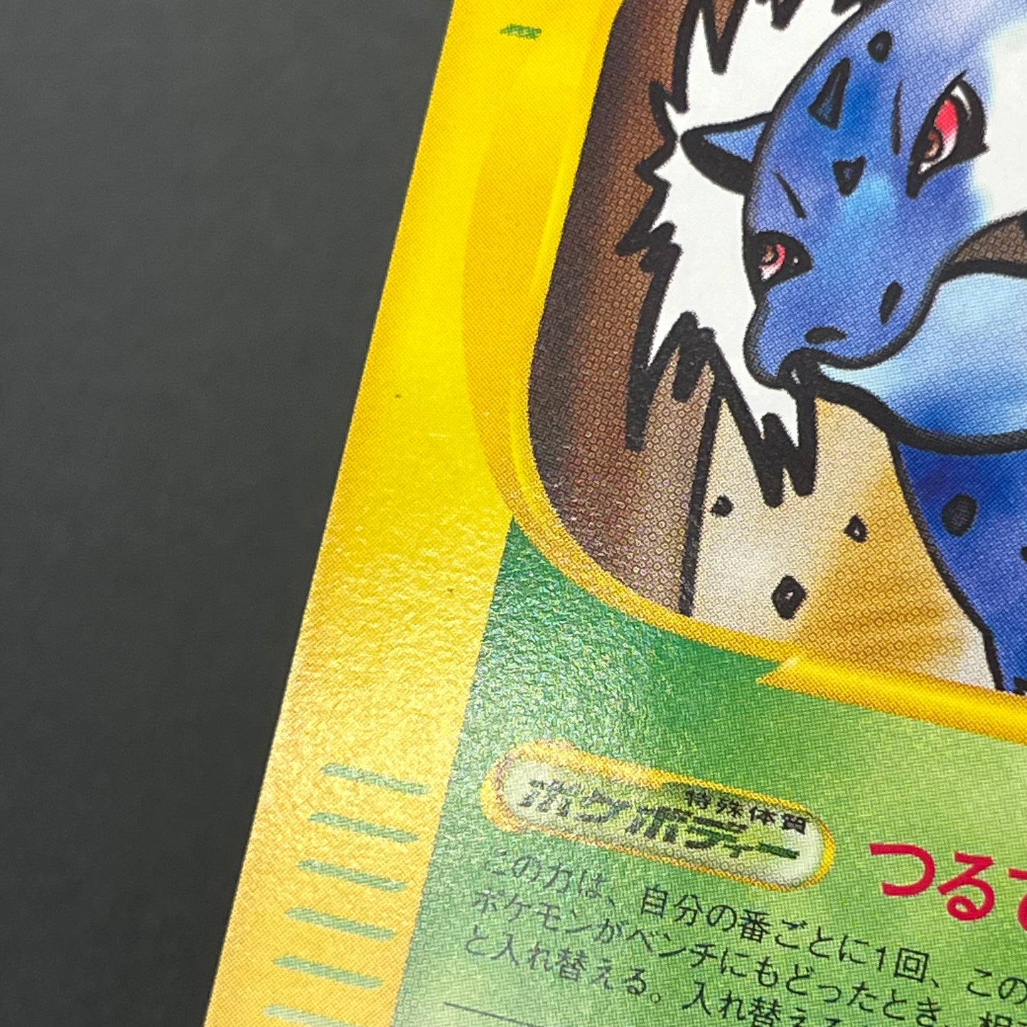 Dark Ivysaur 017/048 Web Series Japanese Pokémon Card