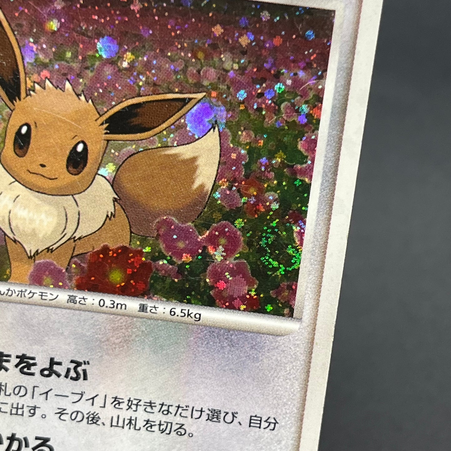 Eevee 063/DP-P Promo Trade Please event Pokémon Card