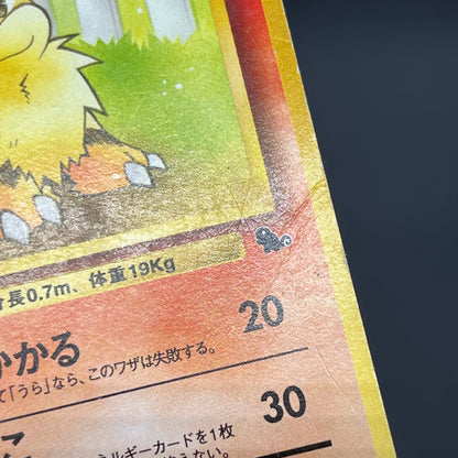 Growlith No. 058 Intro Pack Squirtle Japanese Pokémon Card
