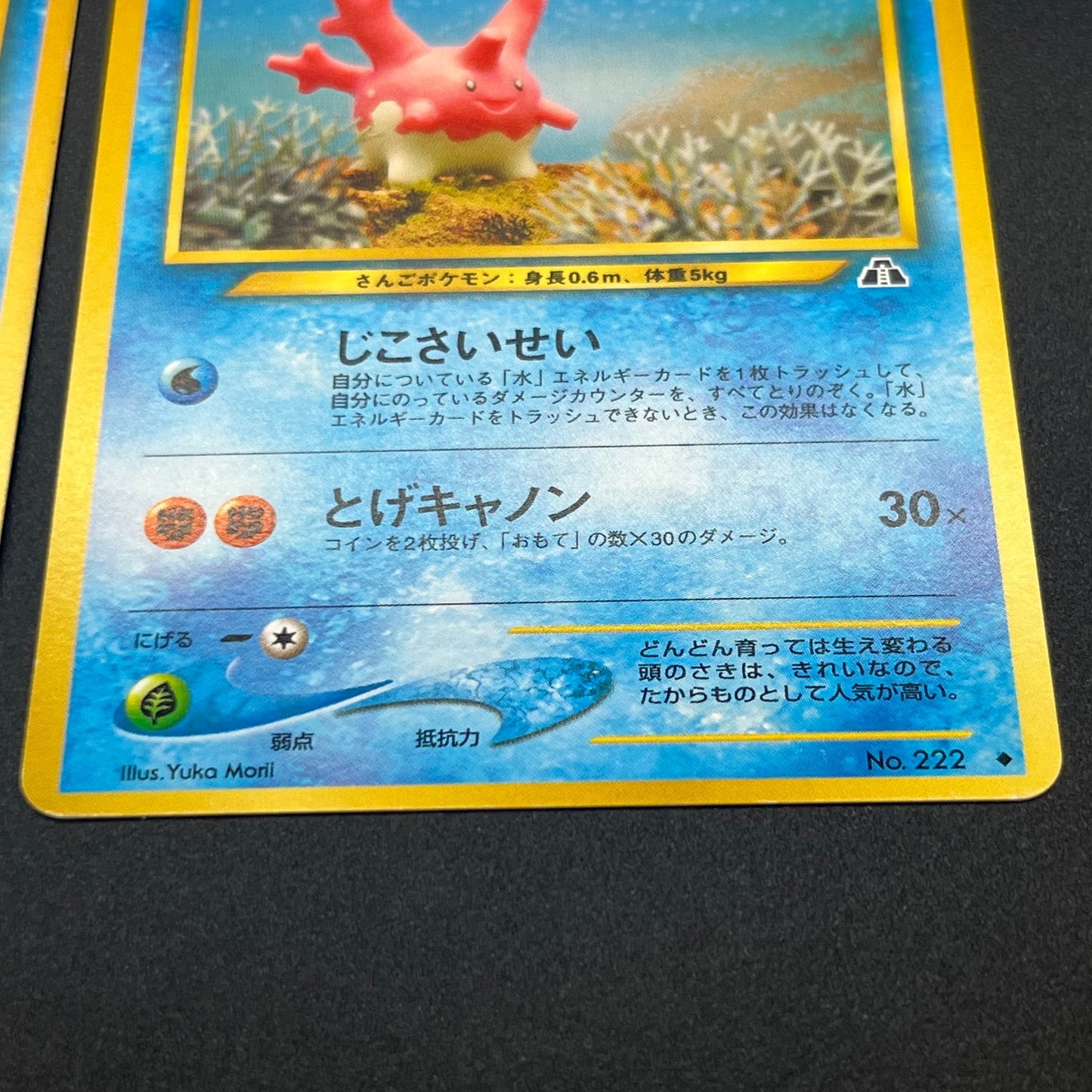 Pokemon Card Yuka Morii Old Back Caterpie 5 Set Japanese