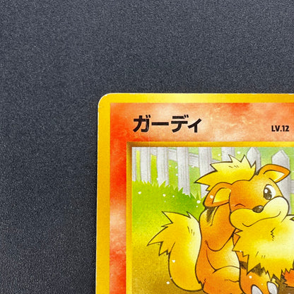 Growlith No. 058 Intro Pack Squirtle Japanese Pokémon Card