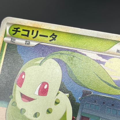Chikorita 034/L-P Promo Pokémon Center Japanese Card