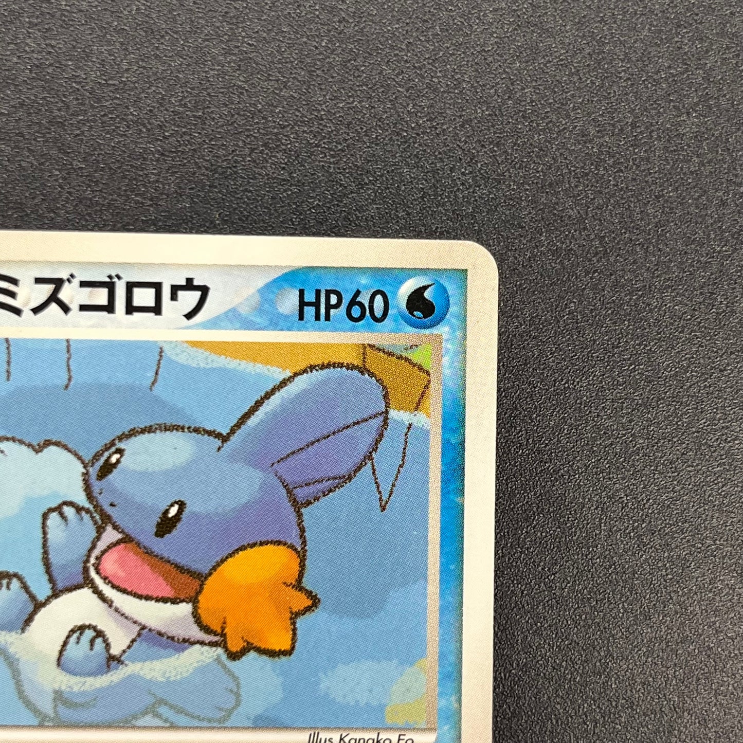 Pokepark's Mudkip 003/009 Pokepark Forest Pokémon Card