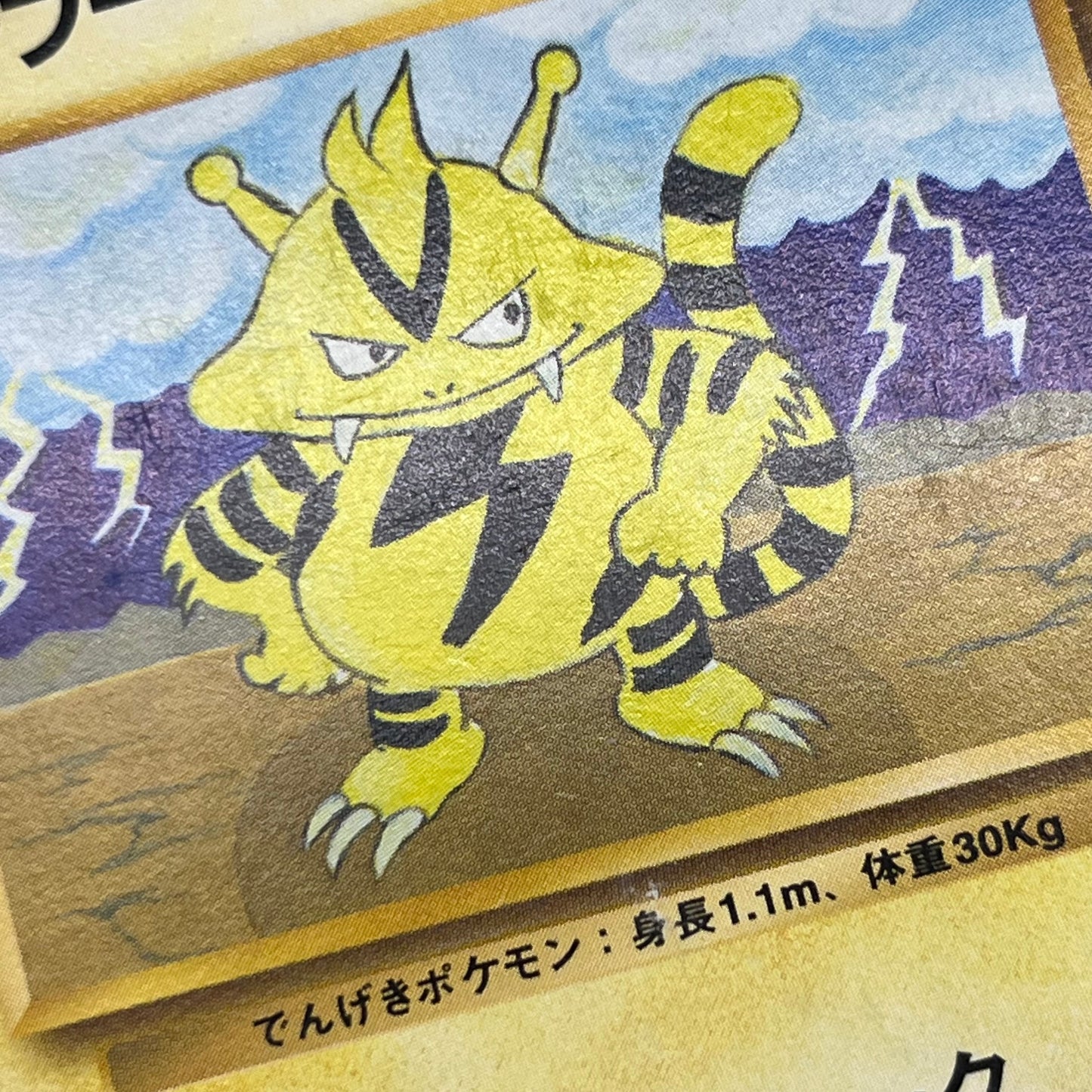 Electabuzz Intro Pack No.125 Bulbasaur Deck Pokémon Card