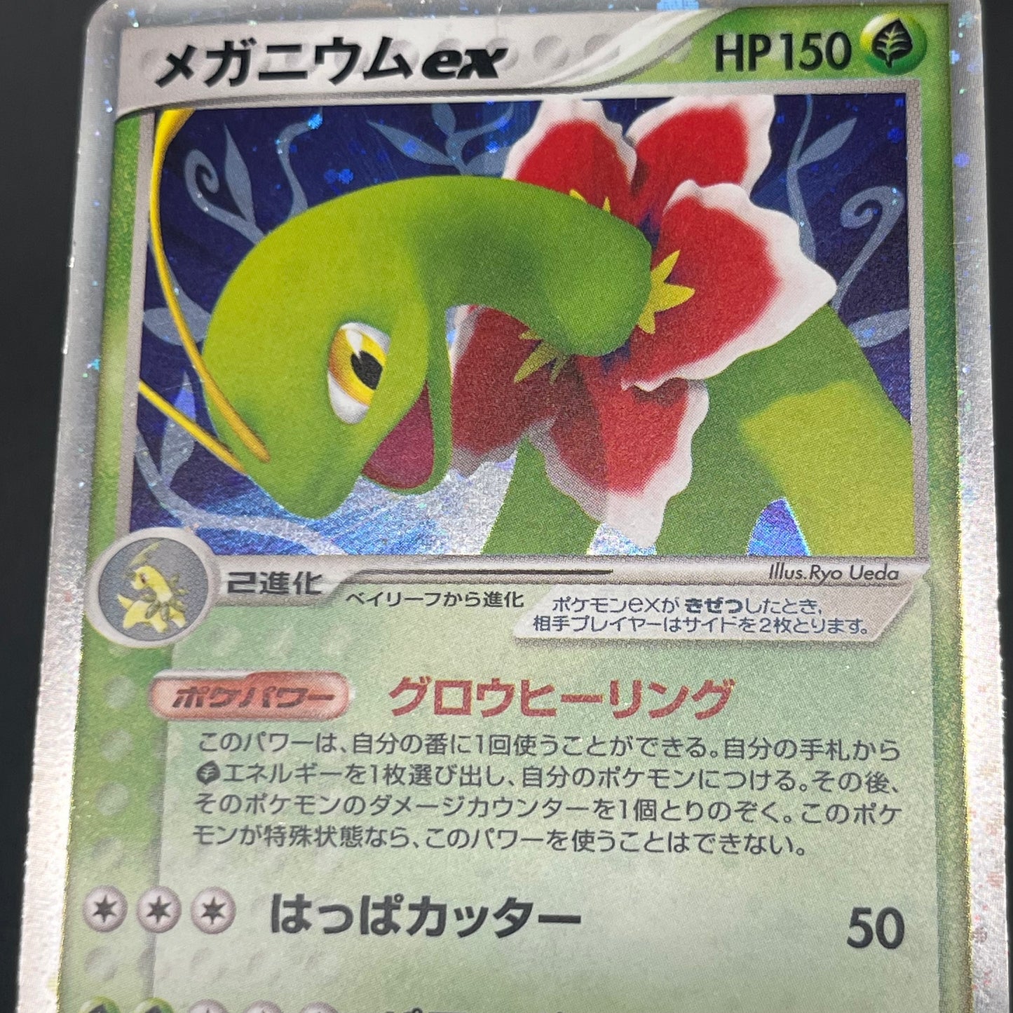 Feraligatr Meganium Unseen Forces Deck Holo Pokemon Card