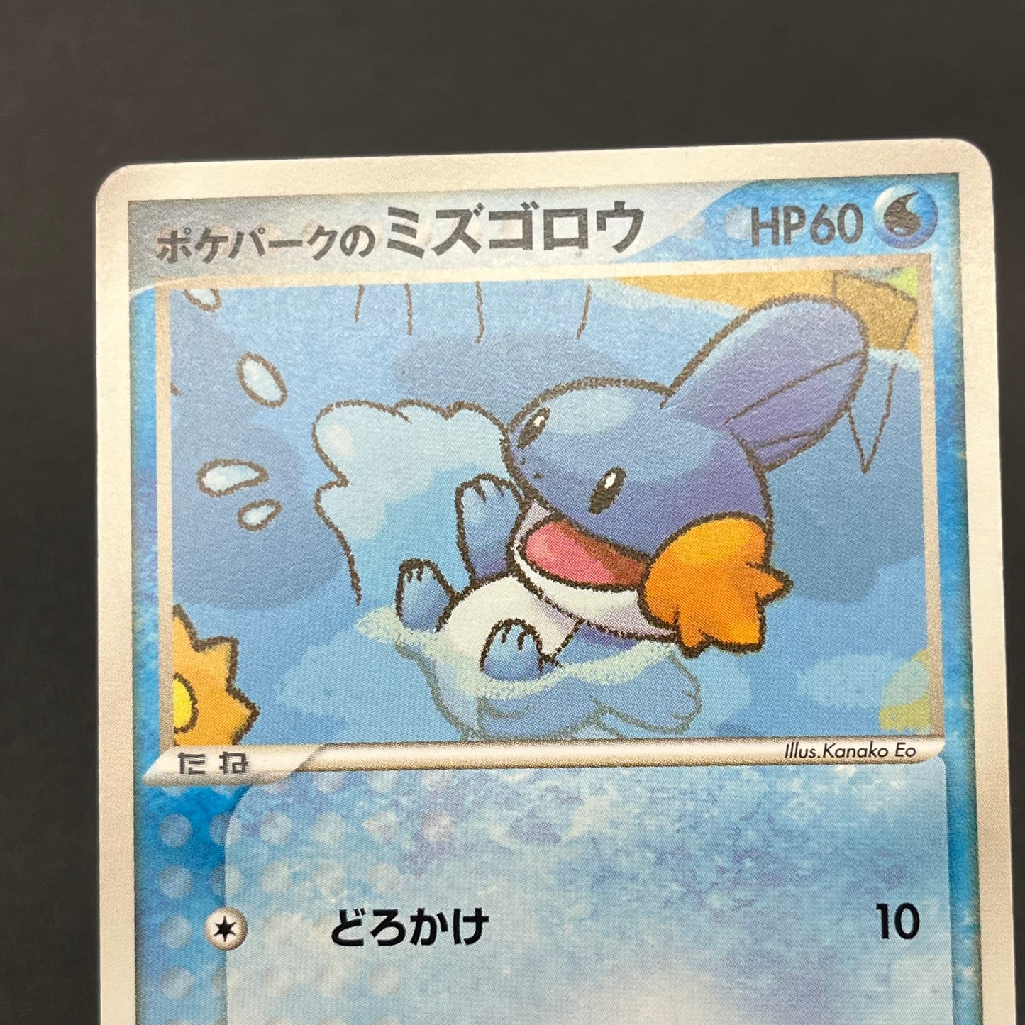 Pokepark's Mudkip 003/009 Pokepark Forest MP Pokémon Card