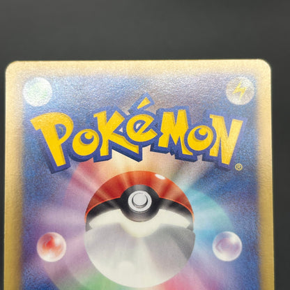 Bulbasaur 124/BW-P Gym Challenge Promo Pokémon Card