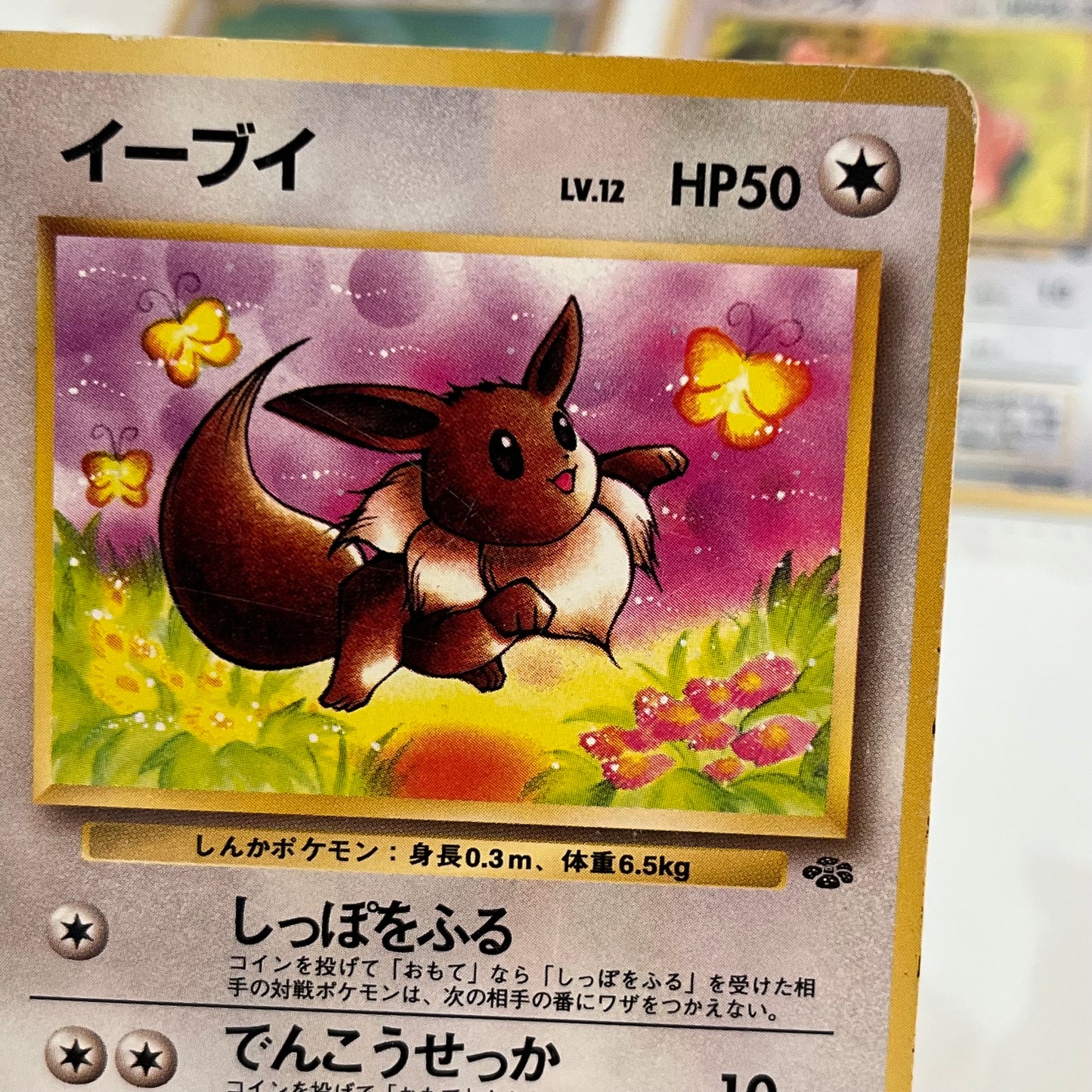 Jungle Normal 31set Complete Japanese Pokémon Card