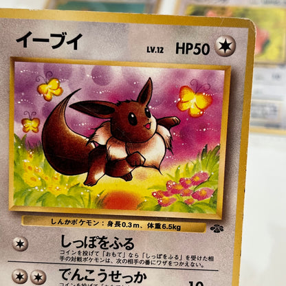 Jungle Normal 31set Complete Japanese Pokémon Card