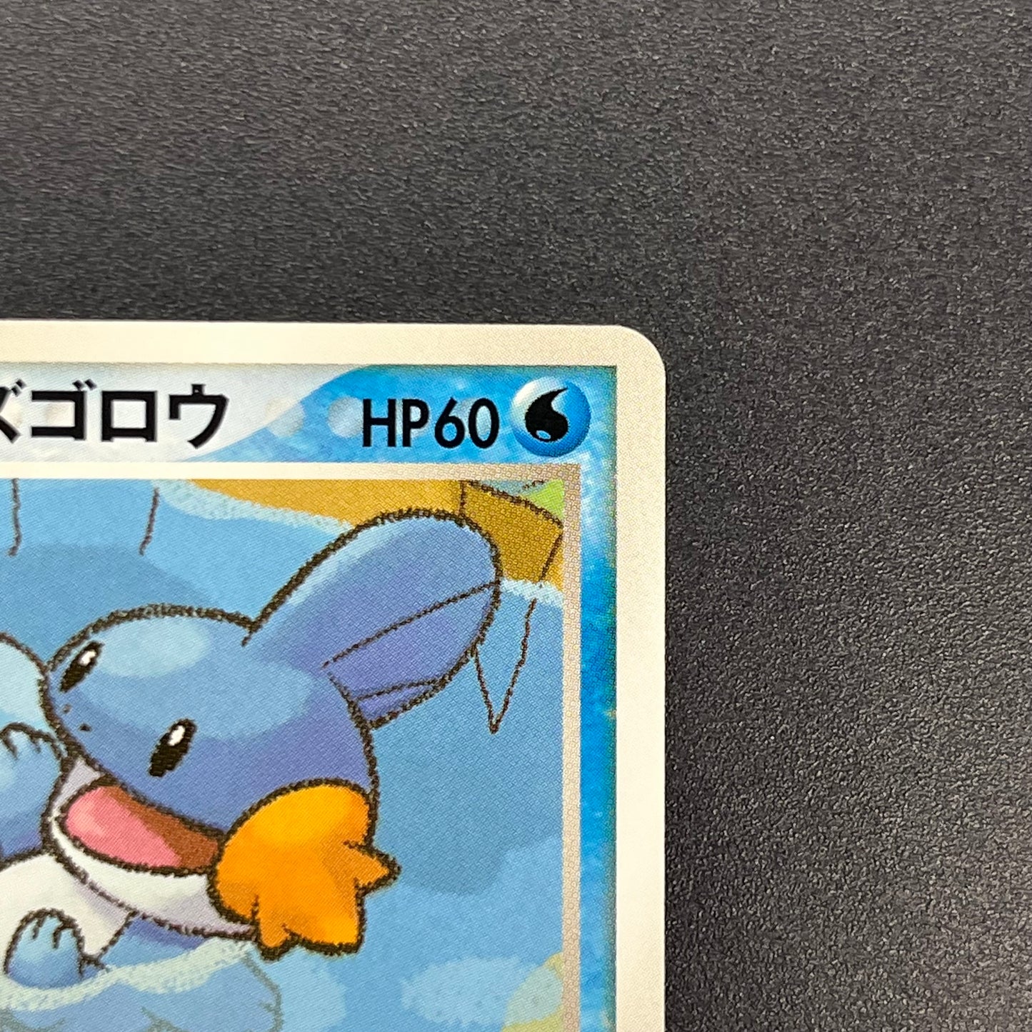 Pokepark's Mudkip 003/009 Pokepark Forest LP Pokémon Card