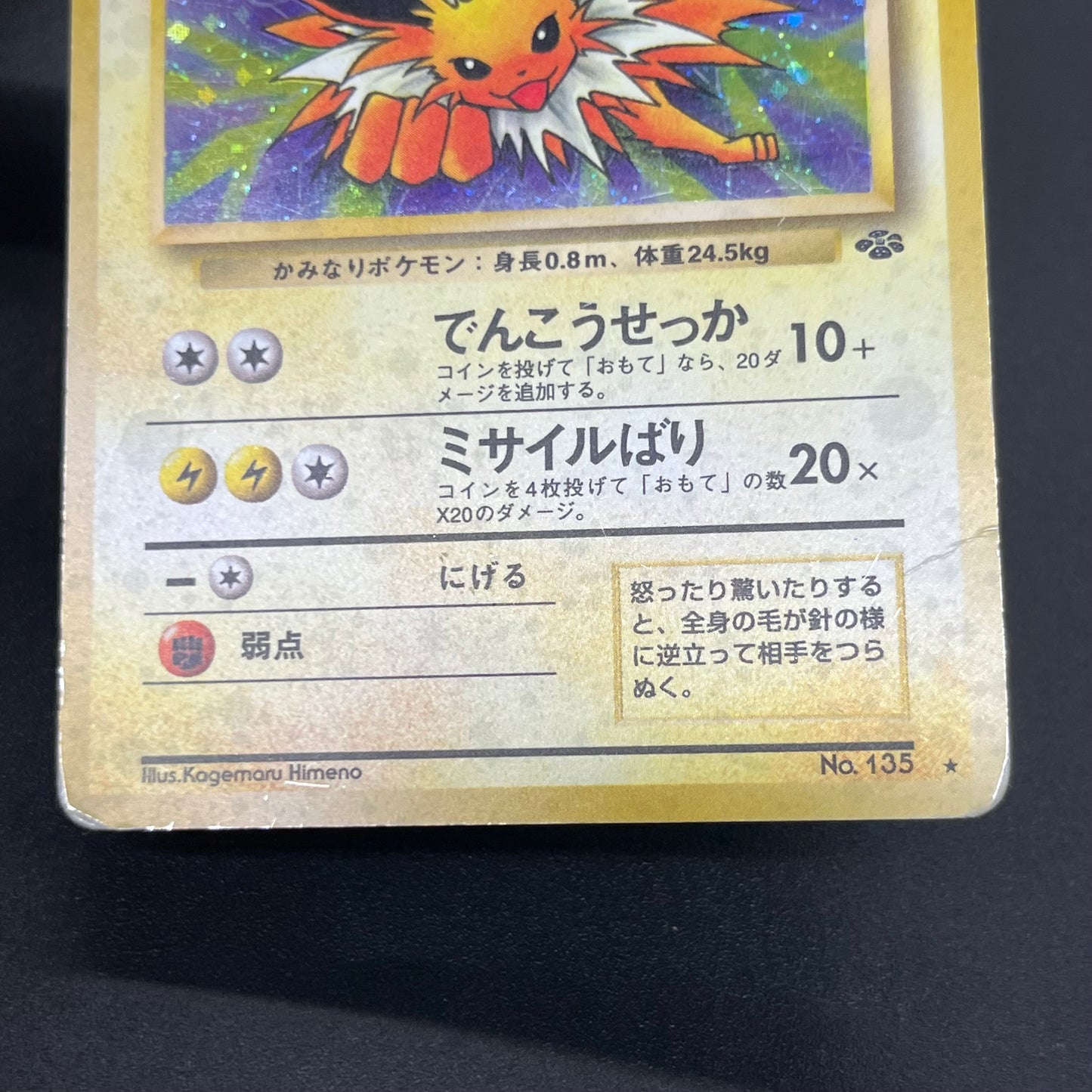 Jolteon Vaporeon Flareon Jungle Holo Old Back Pokémon Card