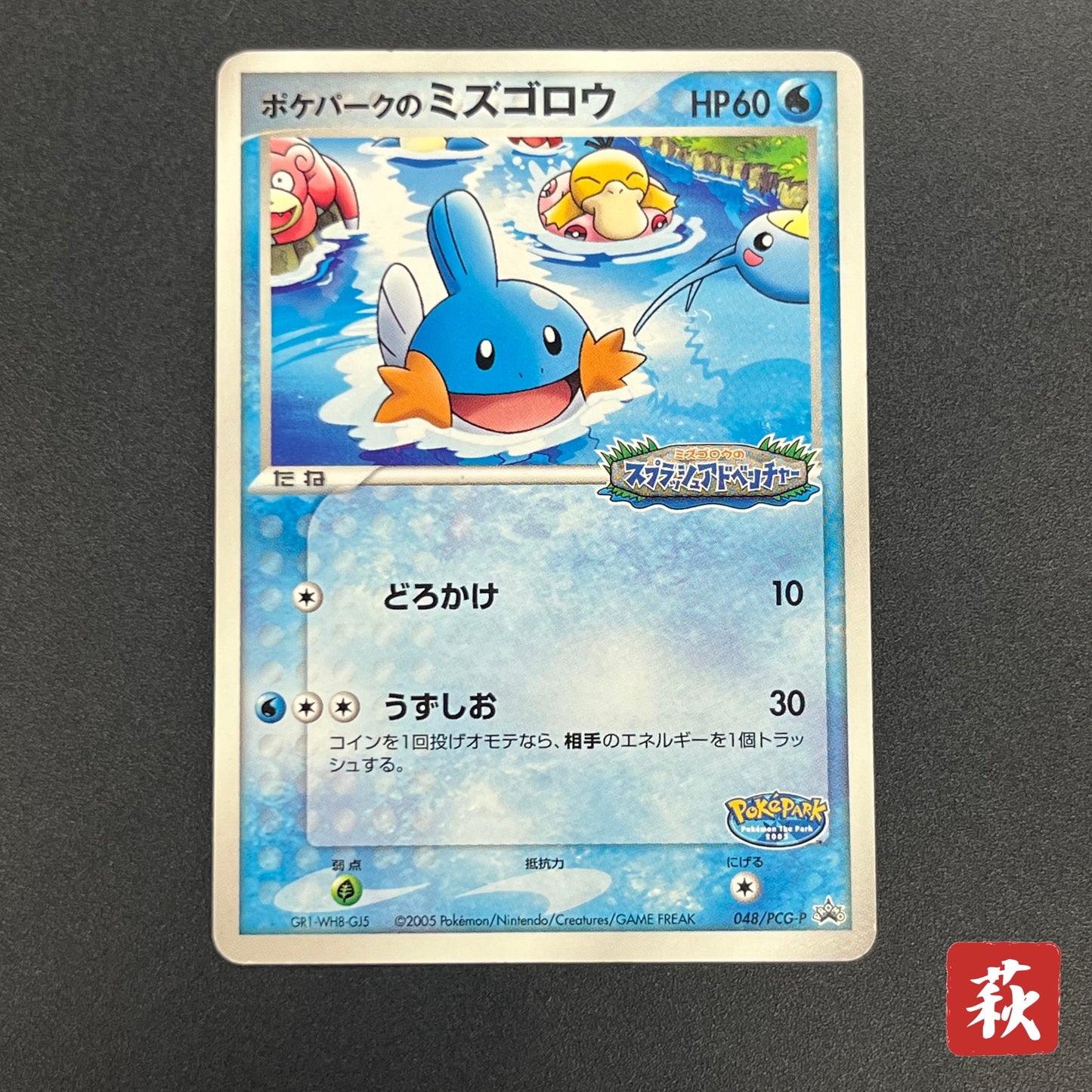 PokePark's Mudkip 048/PCG-P Promo Japanese Pokemon Card