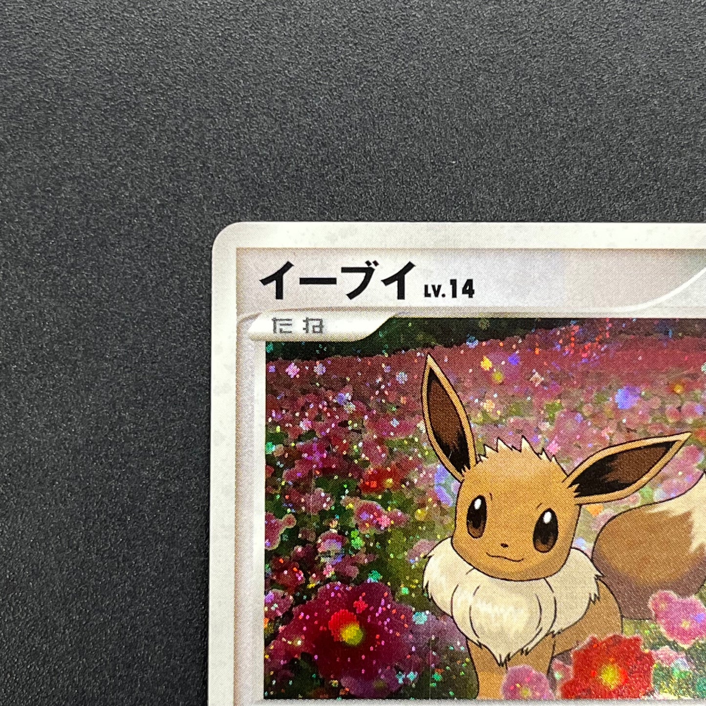 Eevee 063/DP-P Promo Trade Please event Pokemon Card