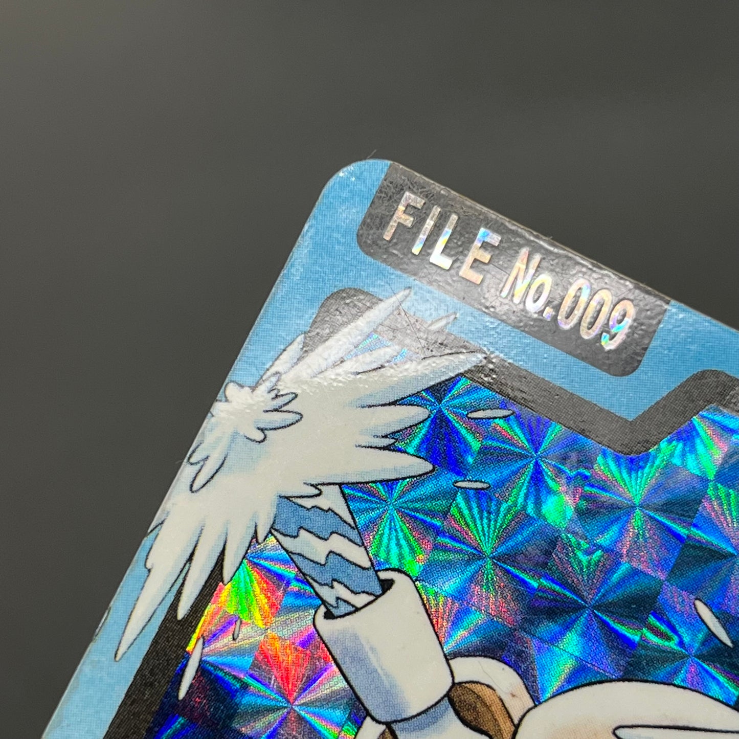 Blastoise Venusaur Bandai Carddass Holo Japanese Card