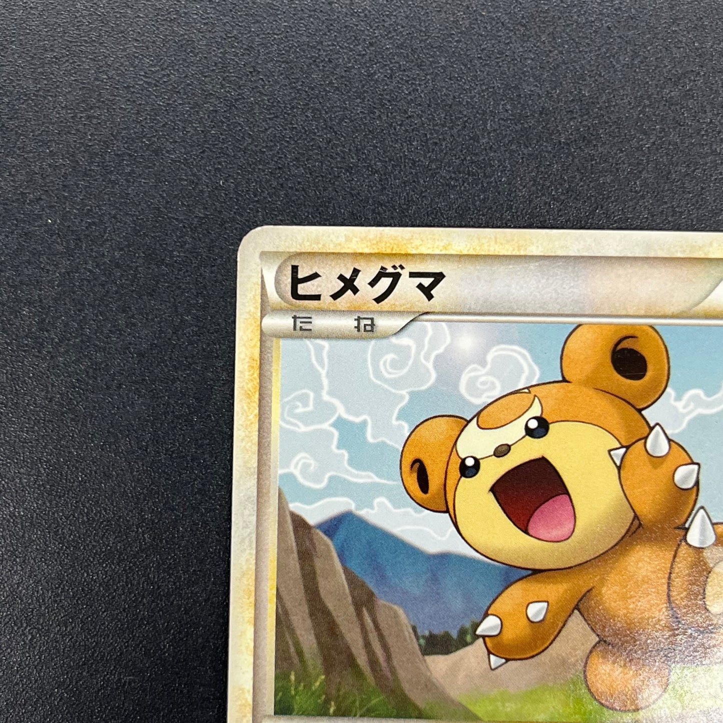 Teddiursa 039/L-P Pokemon Center Promo Pokemon Card