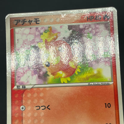 Treecko Torchic Mudkip 005/ADV-P McDonald's Pokémon Card
