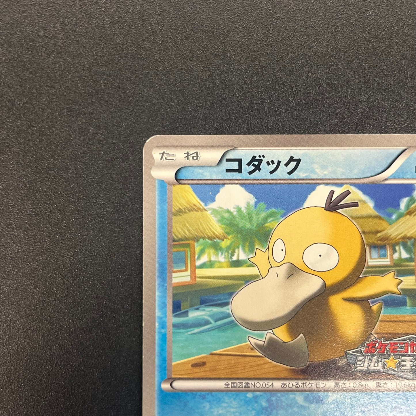 Psyduck 167/BW-P Gym Challenge Promo Japanese Pokemon Card