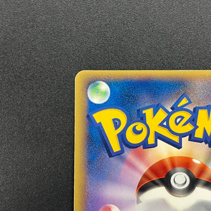 PokePark's Mudkip 048/PCG-P Promo Japanese Pokemon Card