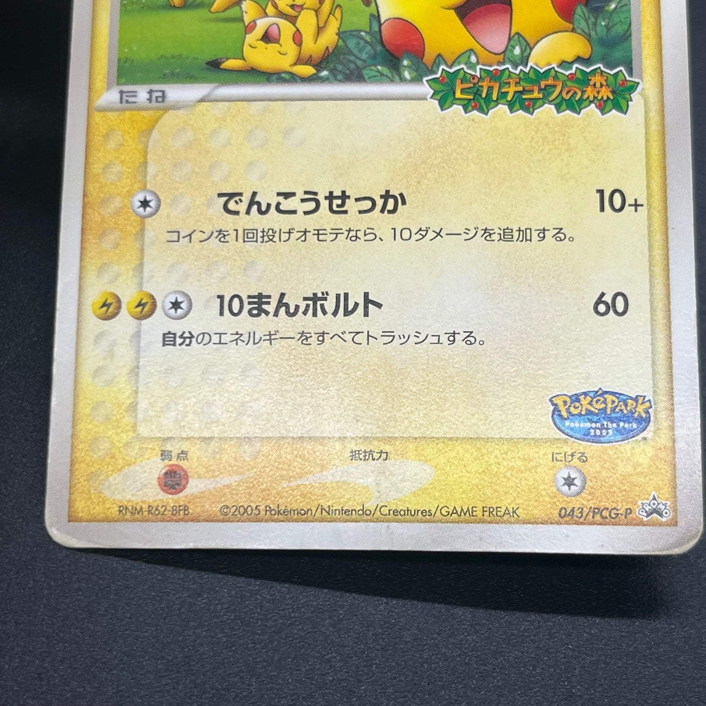 PokePark's Pikachu 043/PCG-P Promo Japanese Pokémon Card