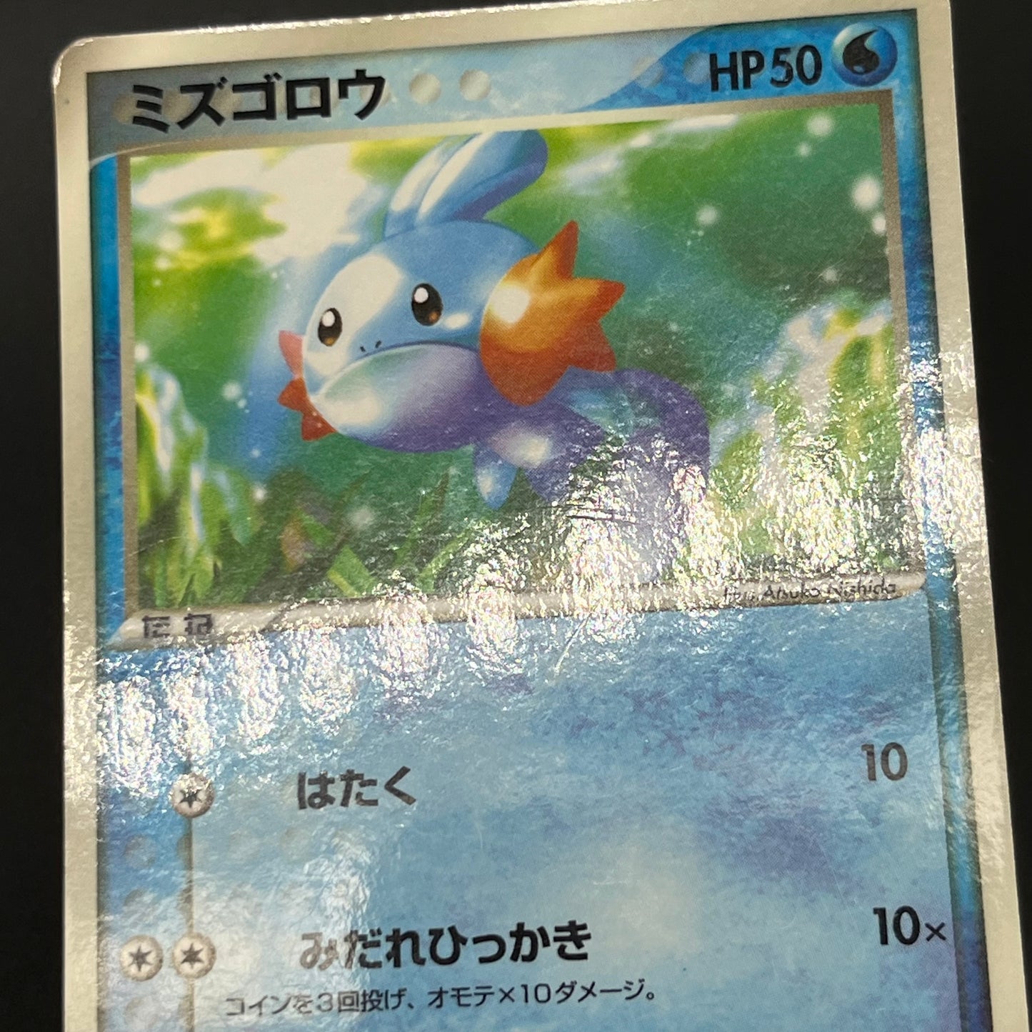 Treecko Torchic Mudkip 005/ADV-P McDonald's Pokémon Card