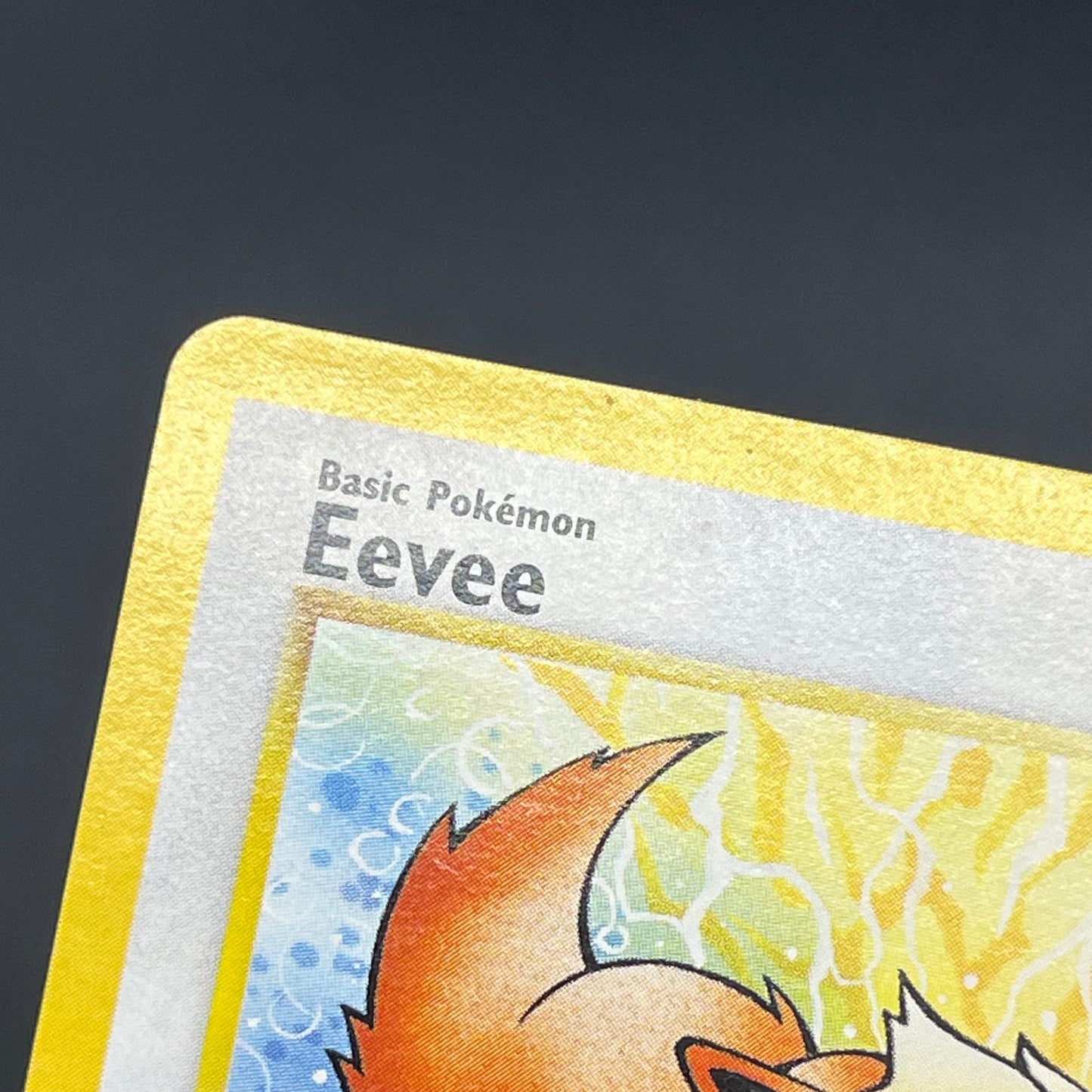 Eevee 11 JR Stamp Rally Promo 2000 Pokémon Card