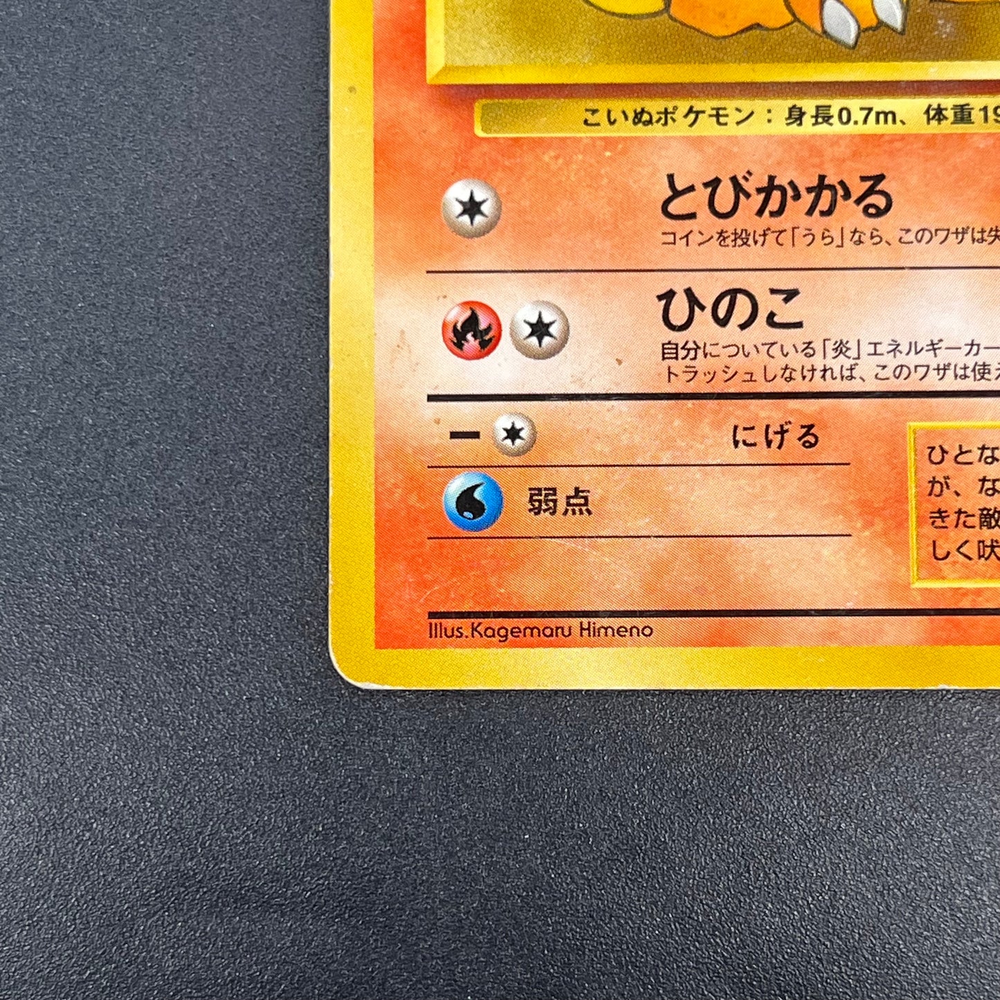 Growlith No. 058 Intro Pack Squirtle Japanese Pokémon Card
