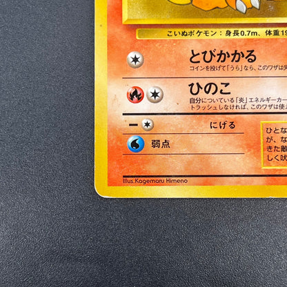 Growlith No. 058 Intro Pack Squirtle Japanese Pokémon Card
