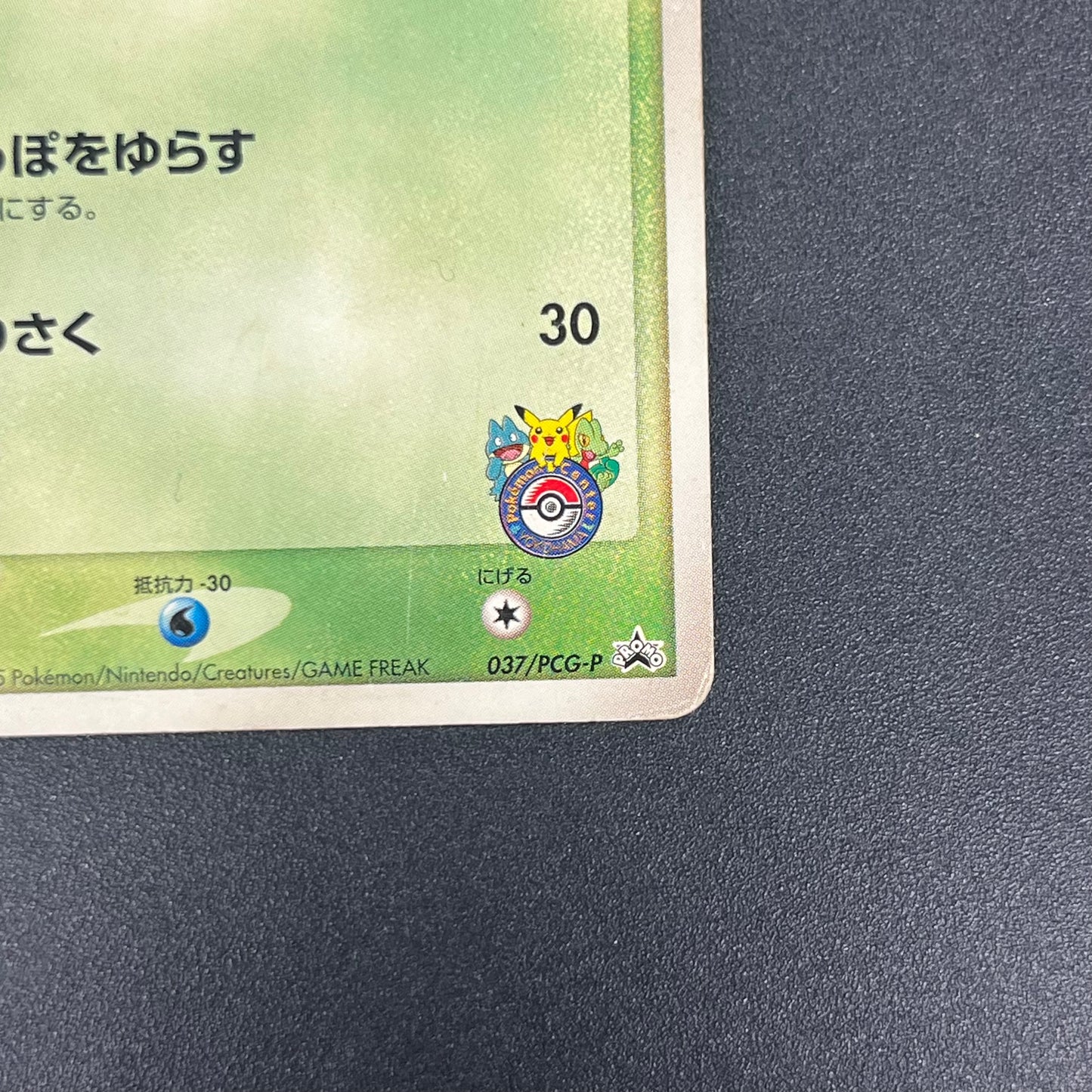 Treecko 037/PCG-P HP Yokohama Center Opening Pokémon Card
