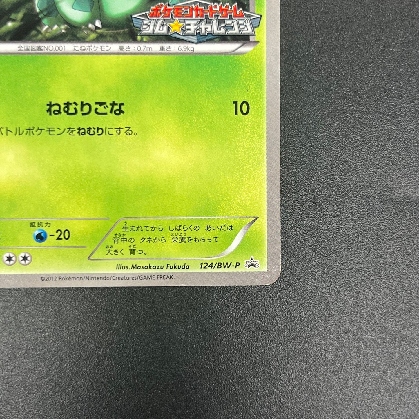 Bulbasaur 124/BW-P Gym Challenge Promo Pokémon Card