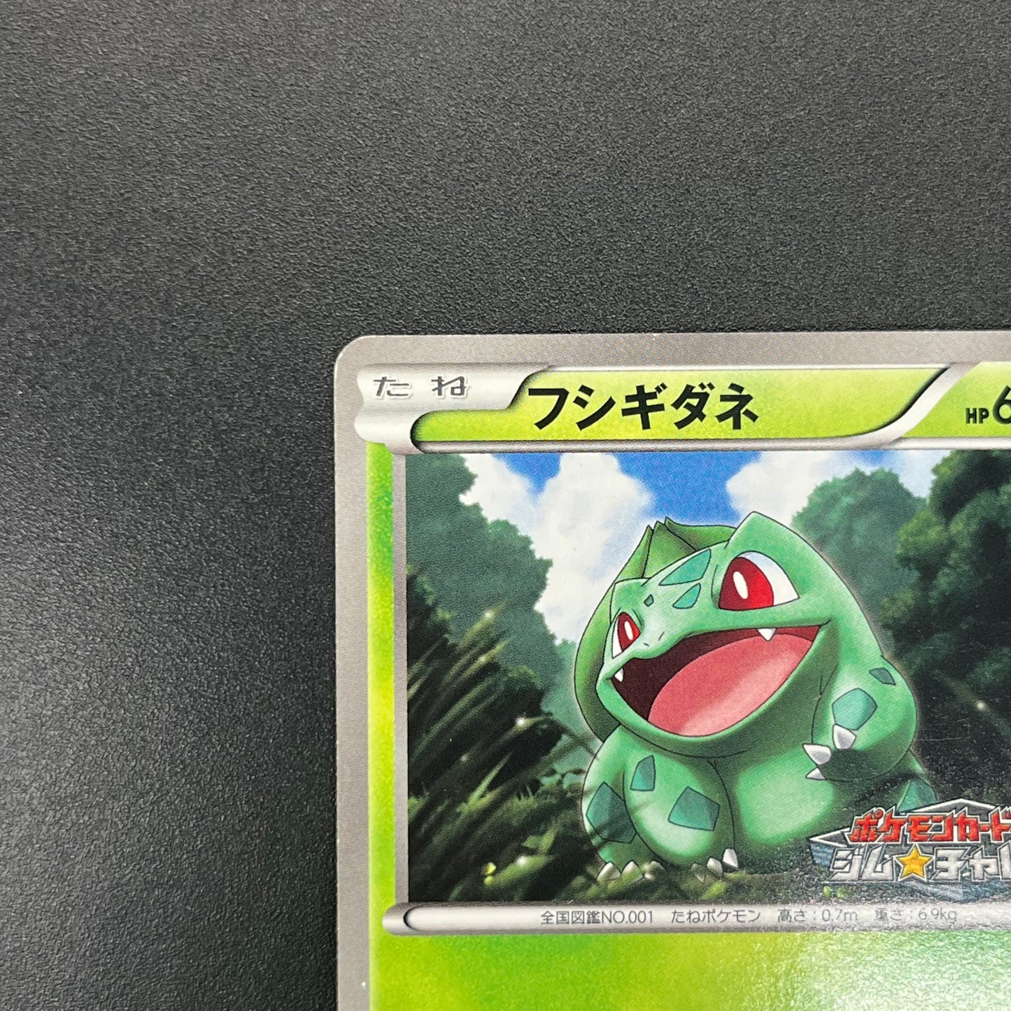 Bulbasaur 124/BW-P Gym Challenge Promo Pokémon Card