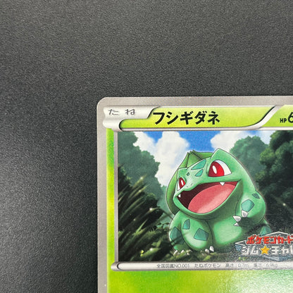 Bulbasaur 124/BW-P Gym Challenge Promo Pokémon Card