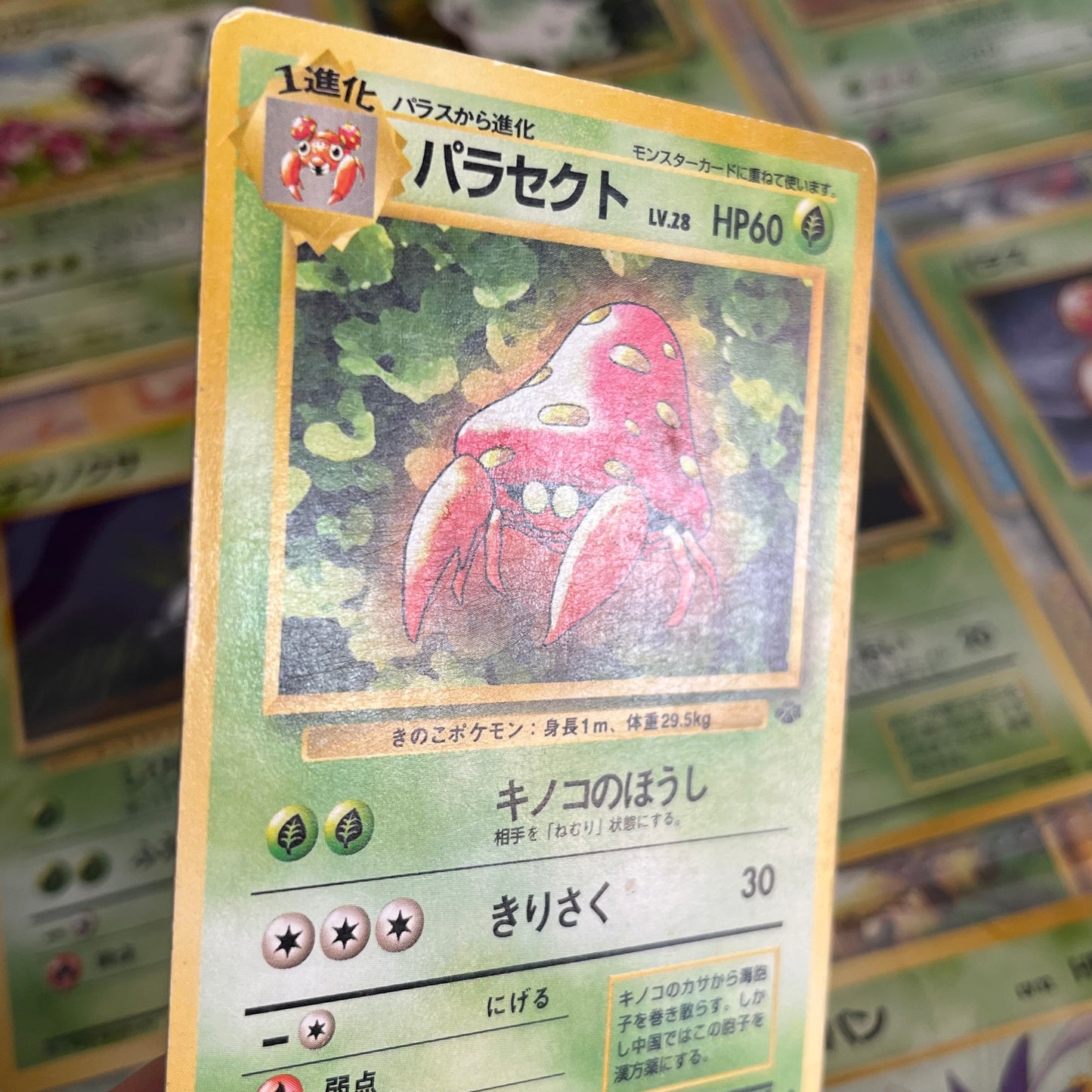 Jungle Normal 31set Complete Japanese Pokémon Card