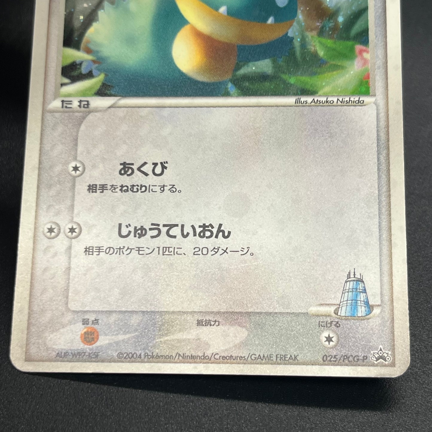 Munchlax 025/PCG-P Promo etc 5set Japanese Pokemon Card