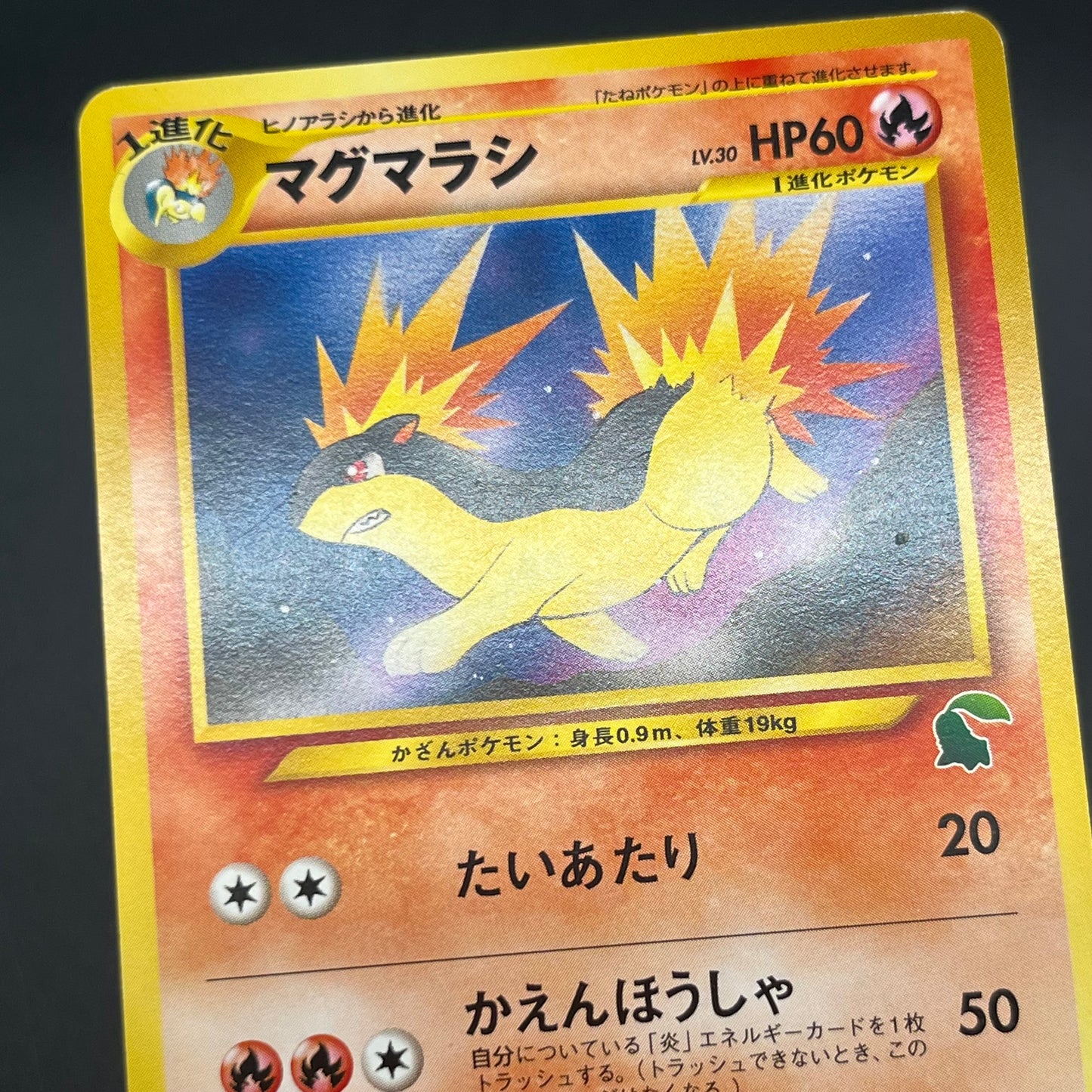 Quilava 156 Intro Pack Chikorita Half Deck Pokémon Card
