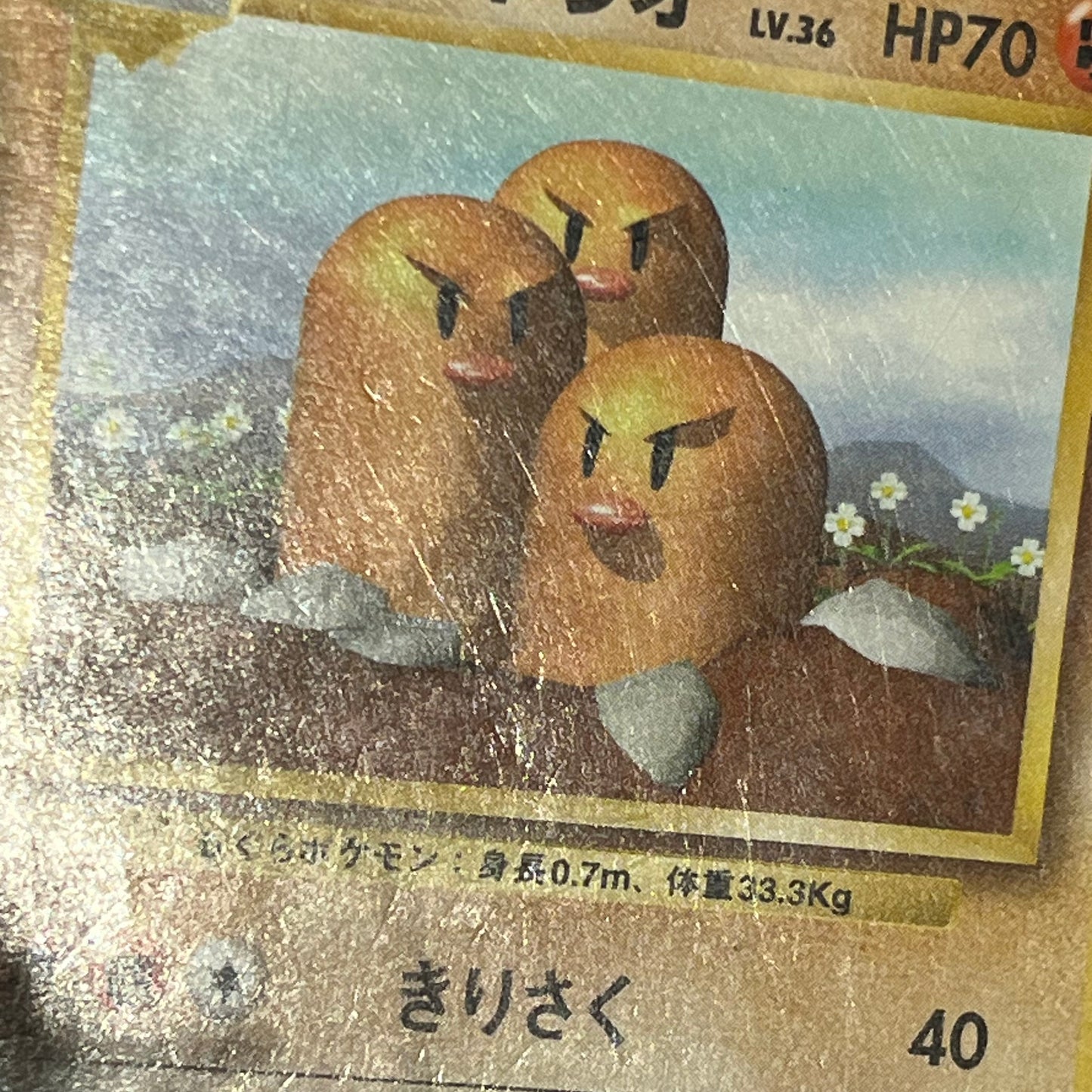 Base Normal 53set Complete Japanese Pokémon Card