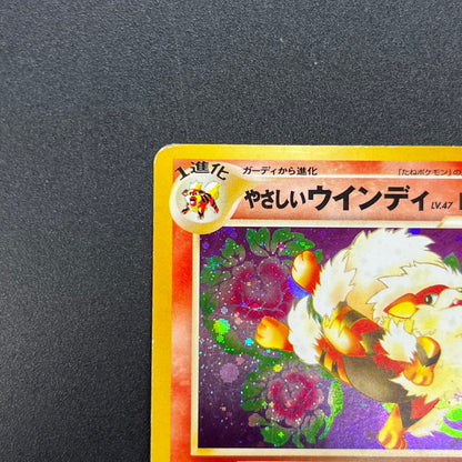 Light Arcanine No. 059 Neo Destiny 2001 Holo Pokemon Card
