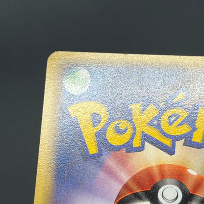 Pokepark's Mudkip 003/009 Pokepark Forest LP Pokémon Card