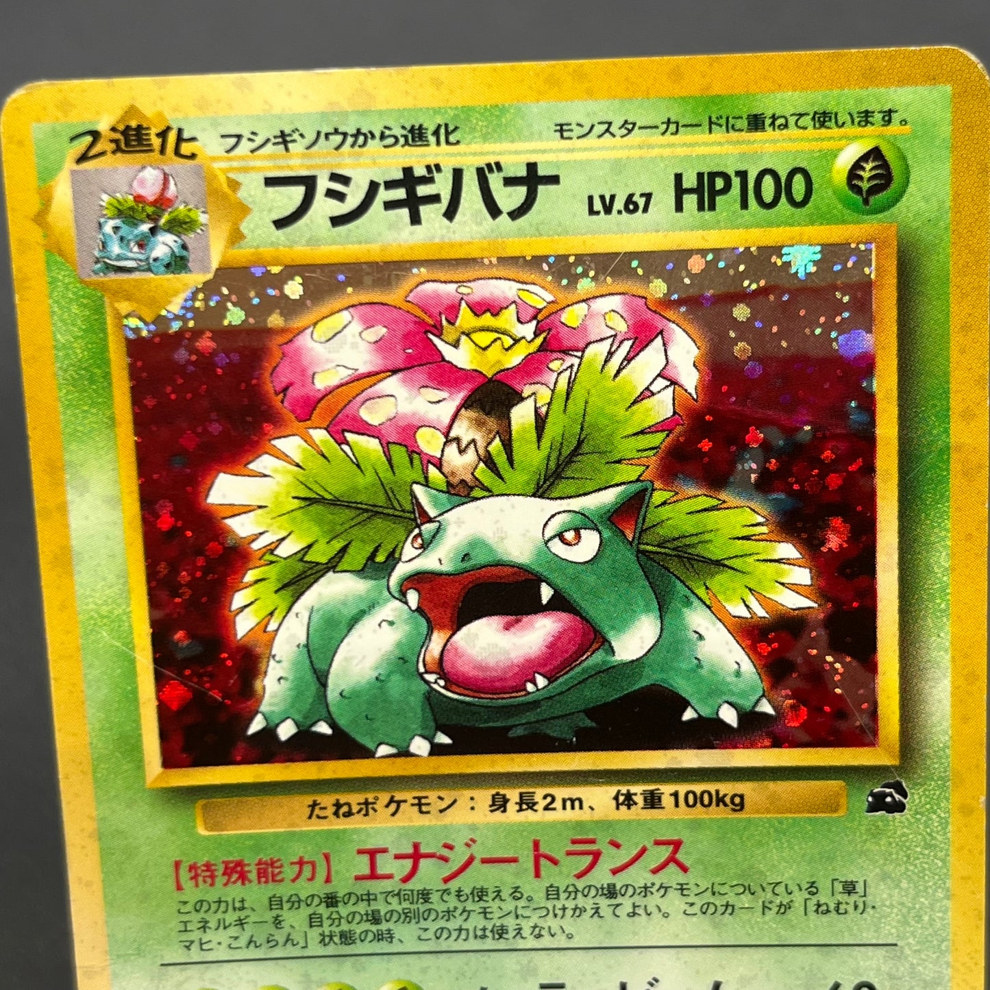 Venusaur 003 Intro Pack Bulbasaur Deck Holo Pokemon Card