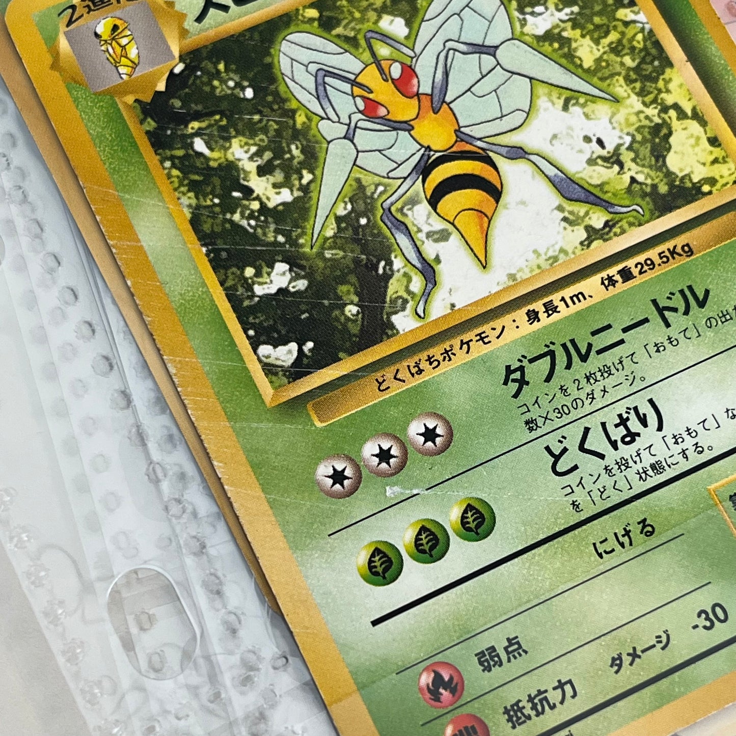 Base Normal 53set Complete Japanese Pokémon Card