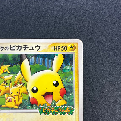 PokePark's Pikachu 043/PCG-P Promo Japanese Pokémon Card