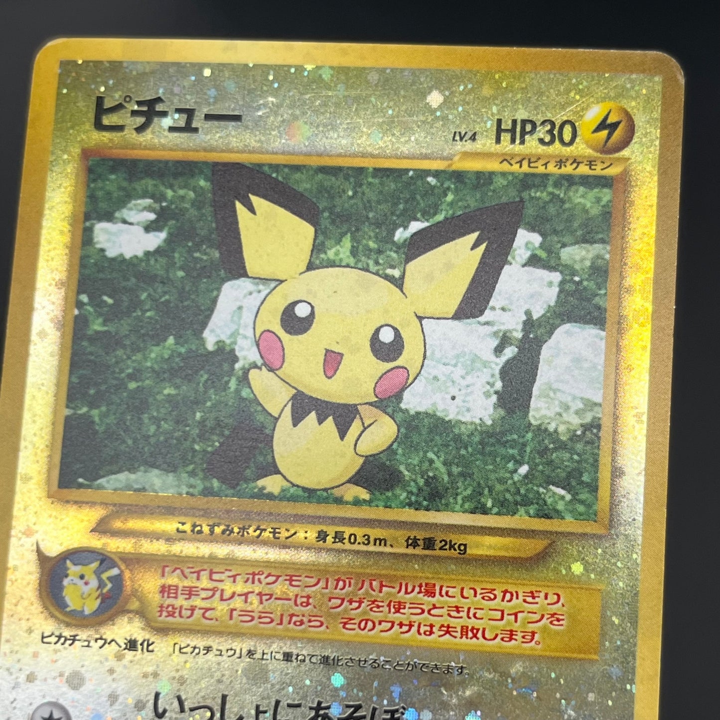 Charizard Pichu & Entei Promo Neo Premium File 2 Card