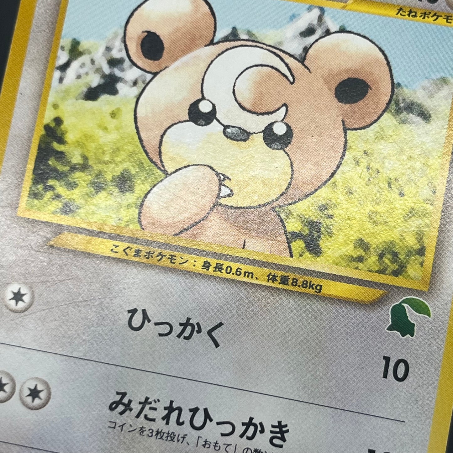 Teddiursa No. 216 Intro Pack Chikorita Deck Pokémon Card