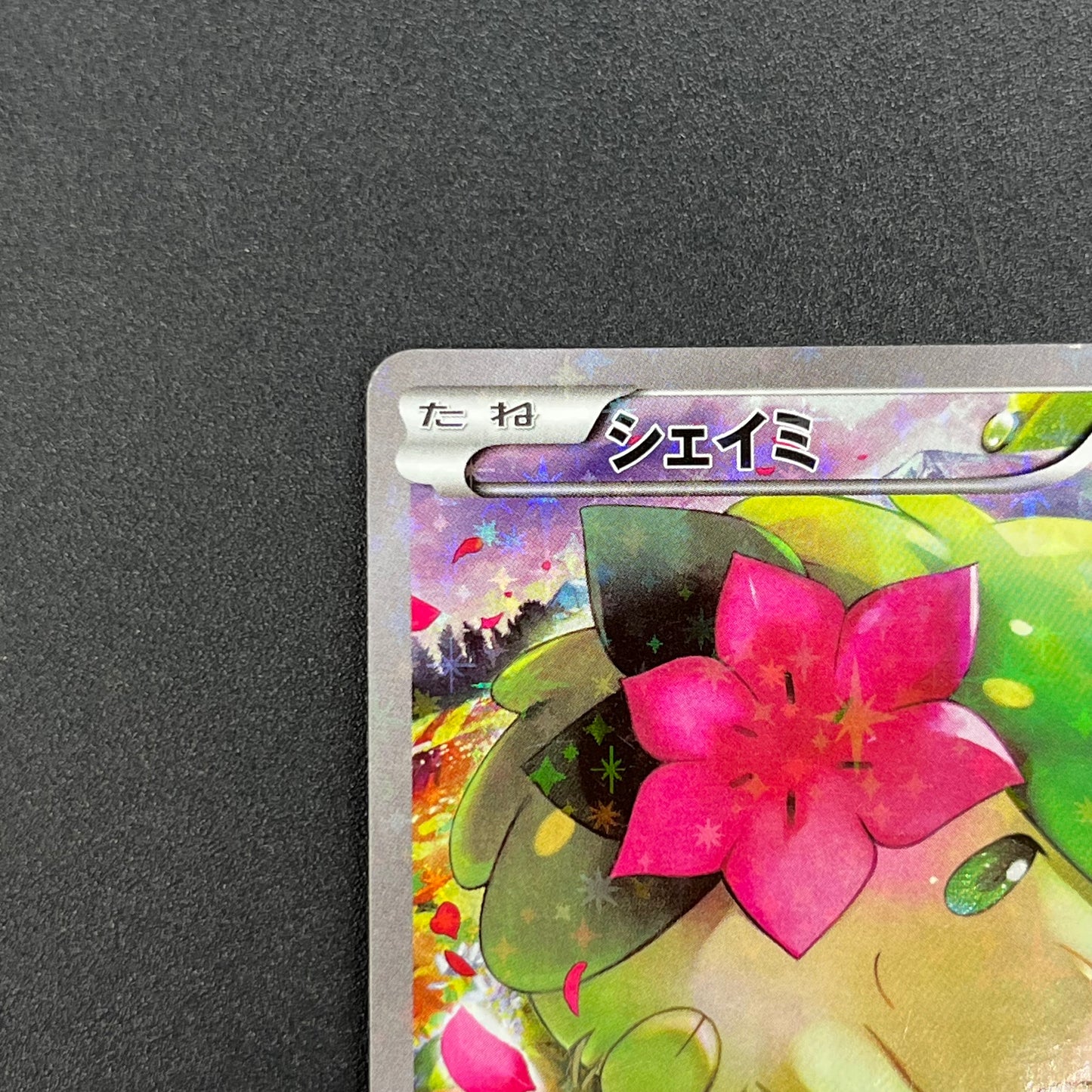 Shaymin CP5 004/036 Mythical Leg Dream Shine Japanese Card