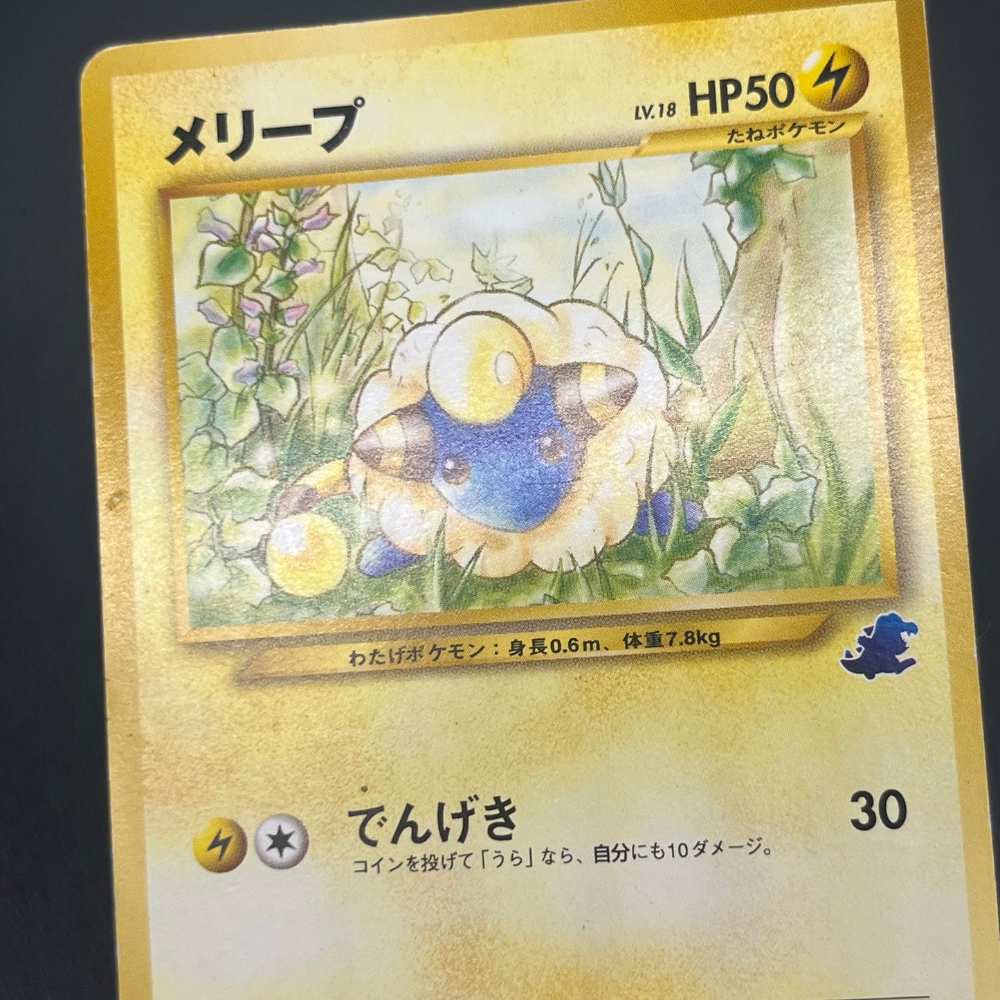 Mareep No. 179 Intro Pack Totodile Deck Pokémon Card