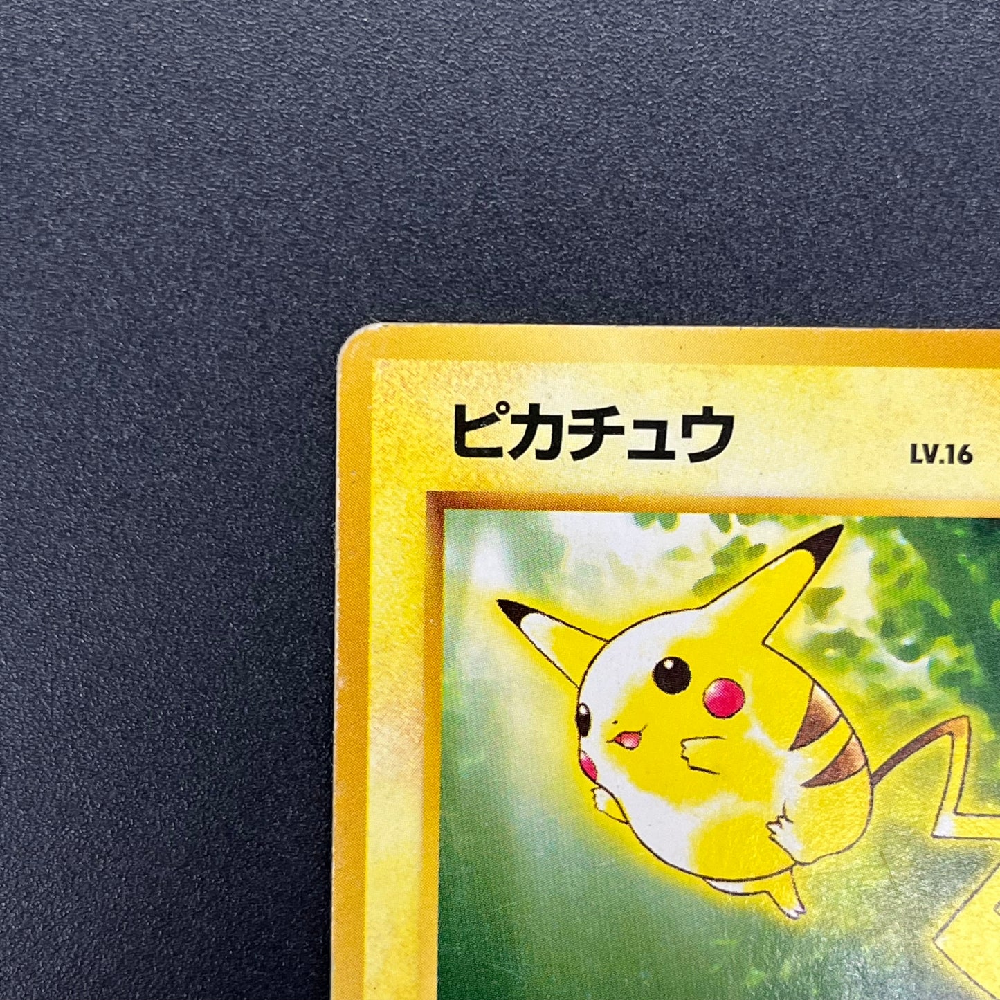 Pikachu No. 025 Intro Pack Bulbasaur Deck Pokémon Card
