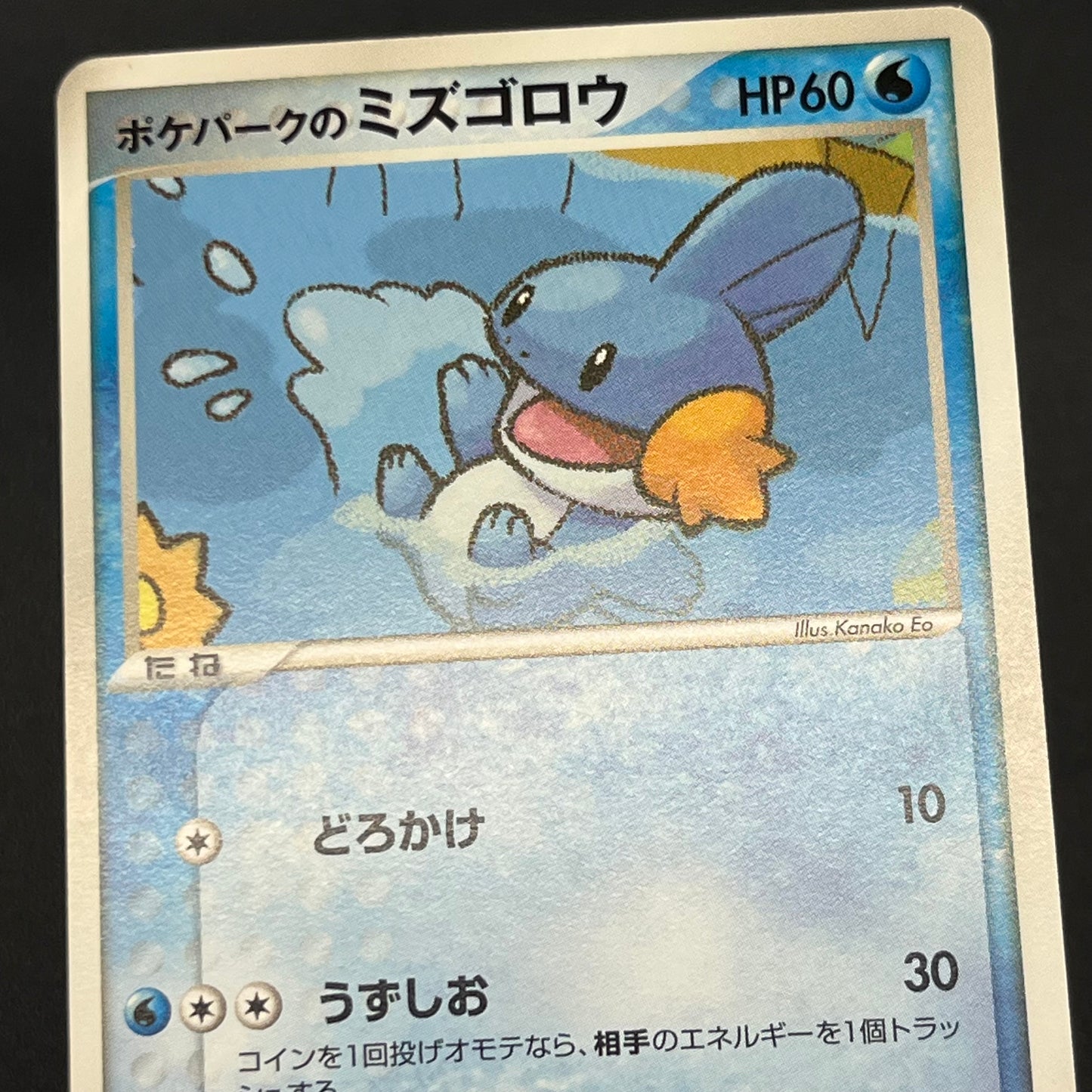 Pokepark's Mudkip 003/009 Pokepark Forest LP Pokémon Card